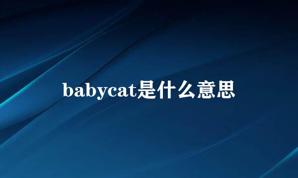 babycat是什么意思